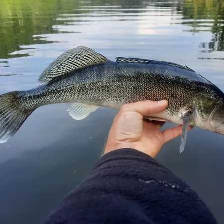 Apartamento útulná Pri Vode V čarokrásnej Prírode