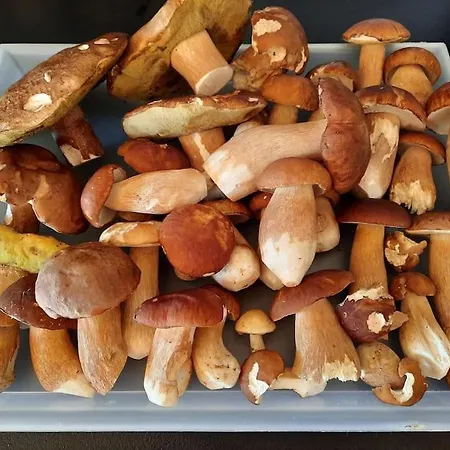 Apartamento útulná Pri Vode V čarokrásnej Prírode Košická Belá