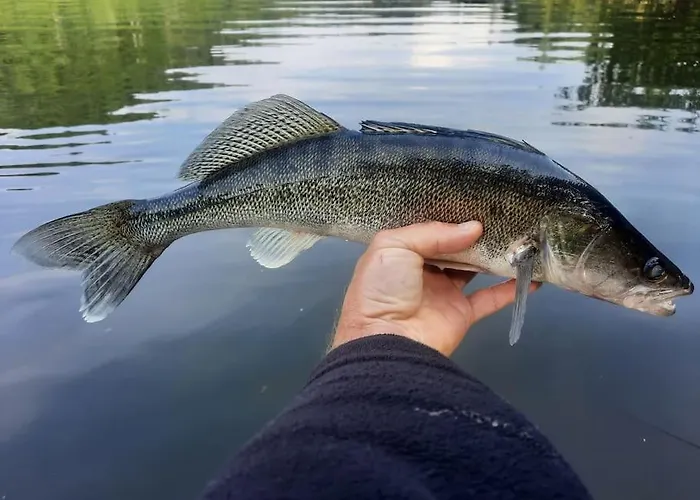 Διαμέρισμα Utulna Pri Vode V Carokrasnej Prirode