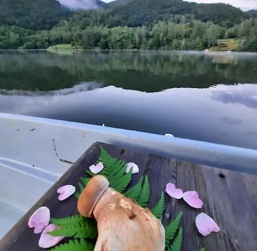 Utulna Pri Vode V Carokrasnej Prirode * Košická Belá