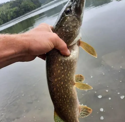 Διαμέρισμα Utulna Pri Vode V Carokrasnej Prirode *