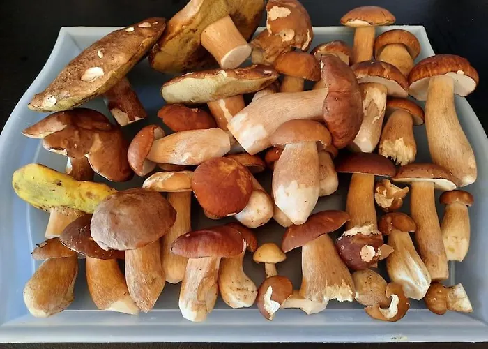 Διαμέρισμα Utulna Pri Vode V Carokrasnej Prirode Košická Belá