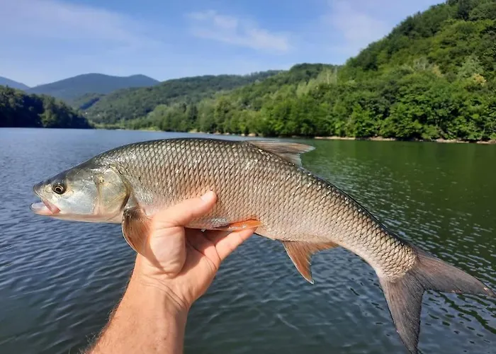 Utulna Pri Vode V Carokrasnej Prirode Košická Belá